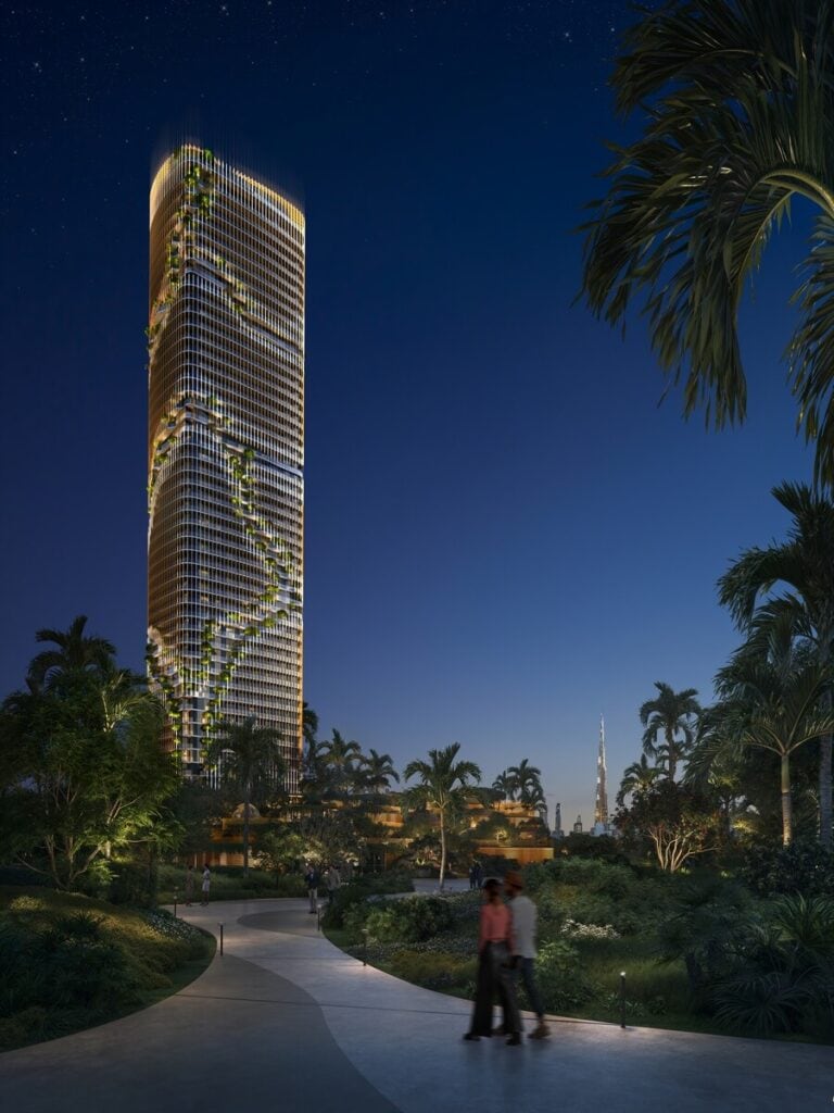 Hero-Shot_Forest-View_Night-Copy