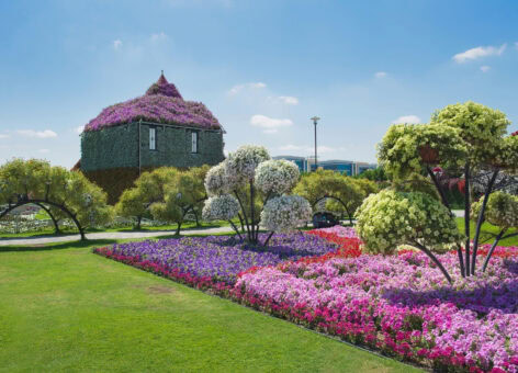 גן הפרחים בדובאי