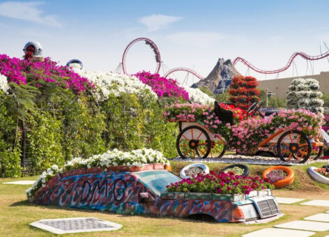 גן הפרחים בדובאי