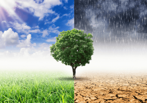 אזור במוזיאון העתיד בדובאי שמוקדש לתיקון כדור הארץ ומשבר האקלים