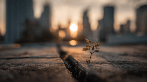 גישה יזמית: מייצרים הזדמנויות השקעה